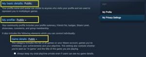 How to hide Steam games from friends