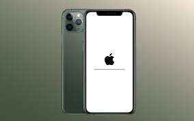 iPhone 11 Pro stuck on a white Apple screen