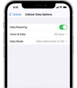 iphone-settings-cellular-cellular-data-option