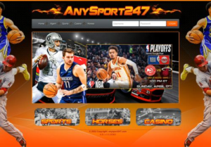 Anysport247 Login, Sign-up, and Customer Service