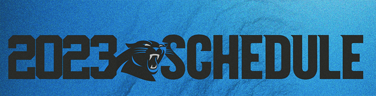 скріншот-what-time-do-the-carolina-panthers-play-today