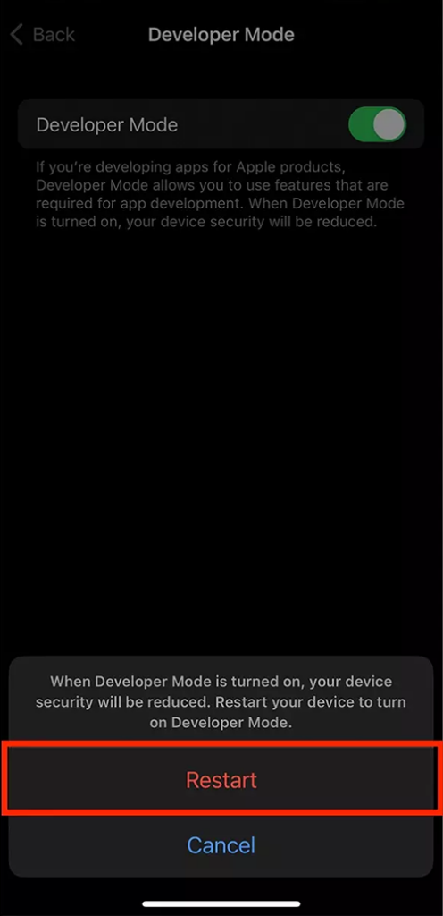 how-to-enable-developer-mode-on-iphone-or-ipad-restart
